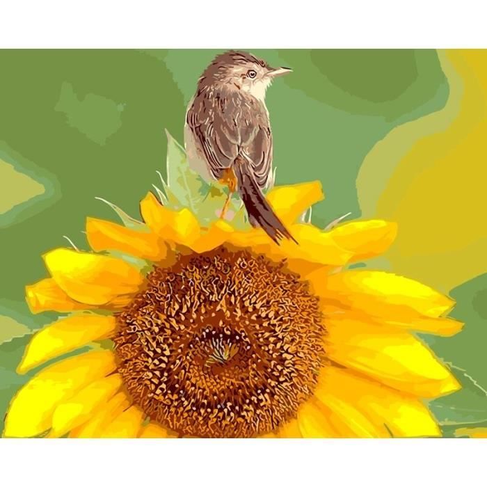 Peinture acrylique avec numéros d'oiseaux sur toile, 40x50, pour adultes,  dessin à l'huile, Art décora 60x75cm no frame -BW39400 - Cdiscount Beaux- Arts et Loisirs créatifs