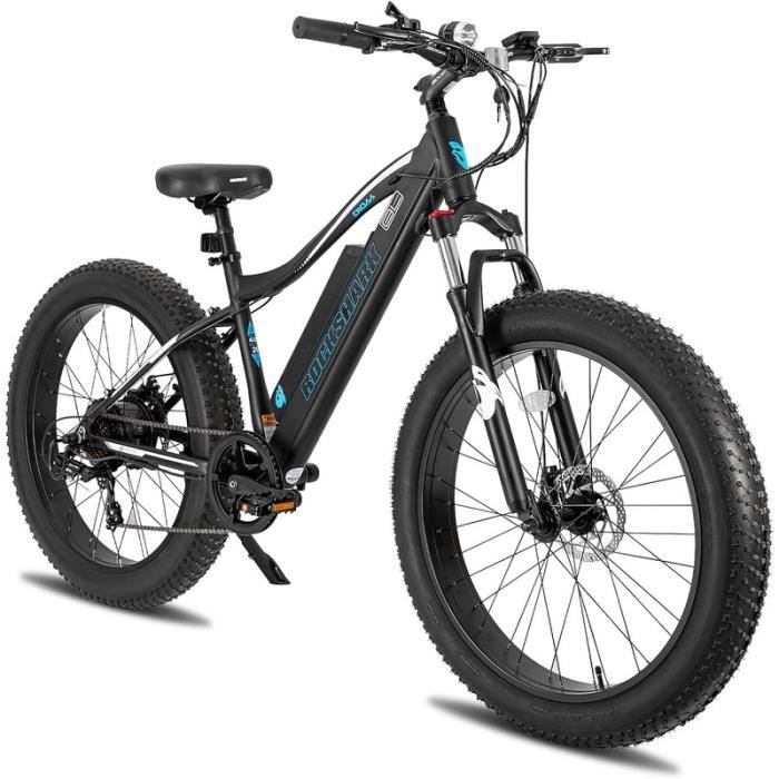 Vélo électrique MileZoom 250W – Pneus 20x4.0, 25 Km/h, Noir, VTT Adulte