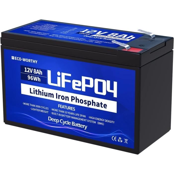 ECO-WORTHY Batterie au Lithium LiFePO4 12V 8AH Rechargeable, Cyclé 3000+  Fois, Stockage d'Energie Solaire, Eolienne, Batterie po192 - Cdiscount  Bricolage