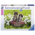 Puzzle 1000 pièces - RAVENSBURGER - Pique-nique dans la prairie - Animaux - Adulte - 1000 pièces-1