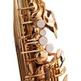 Classic Cantabile Winds AS-450 Mib saxophone alto-2