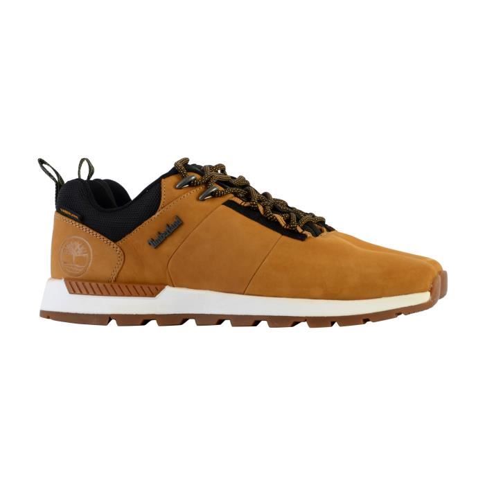 Basket basse timberland 2025 homme
