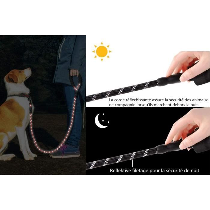 Laisse Chien Nylon Vert Clair Avec Poignée Rembourrée - Pour éducation Et Promenade