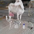 trayeuse Kit de traite de vache de chèvre de 5L Machine à traire électrique portative à impulsion-0