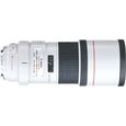 Canon EF 300mm f4L IS USM-0