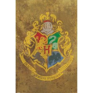 AFFICHE - POSTER Affiche du film Harry Potter (Dimensions : 61 x 91