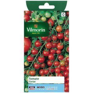 GRAINE - SEMENCE VILMORIN Tomate cerise Sachet de graines