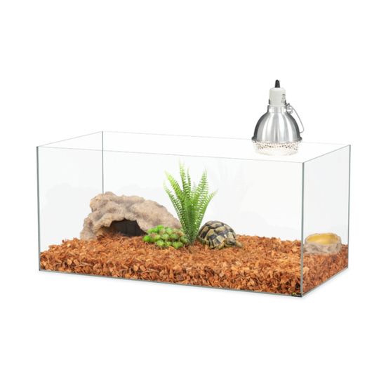 Sitemapcdatahttpsshopinf Inetcomterrarium Tortue Terrestre Occasion