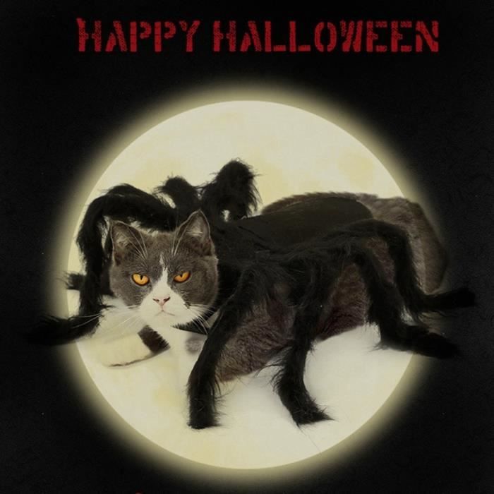 Halloween animal araignée vêtements chiot en peluche araignée Cosplay Costume pour chiens chats fête Cosplay drôle tenue Simulation