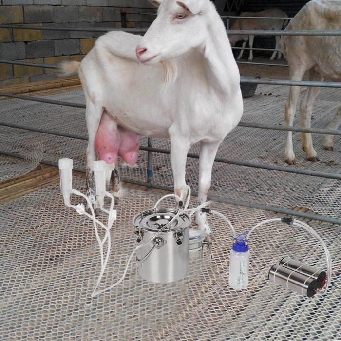 trayeuse Kit de traite de vache de chèvre de 5L Machine à traire électrique portative à impulsion