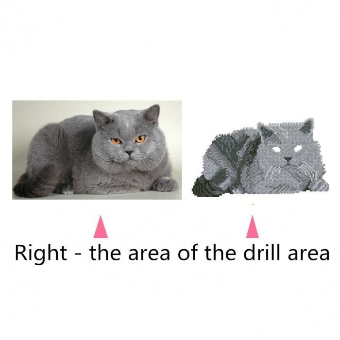 ❤️DIY Broderie Diamant Chat et Léopard,5D Peinture en Diamant R n de Maison Salon Chambre Interieure,Peinture Diamant Paon doré ♪229