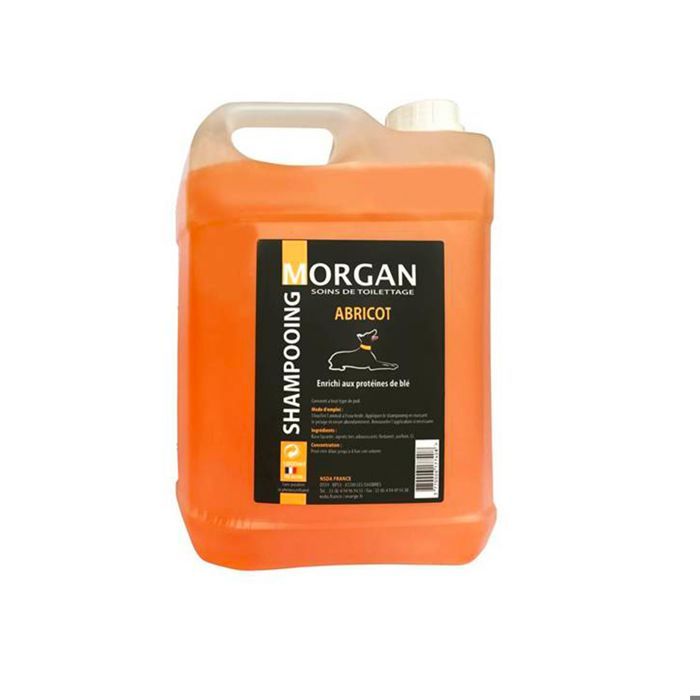 Shampoing protéiné à labricot Morgan : 5 litres - MORGAN Shampoing protéiné à labricot Morgan : 5 litres - MORGAN