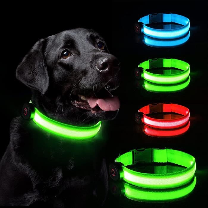 Collier lumineux pour chien chargement USB