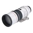 Canon EF 300mm f4L IS USM-1
