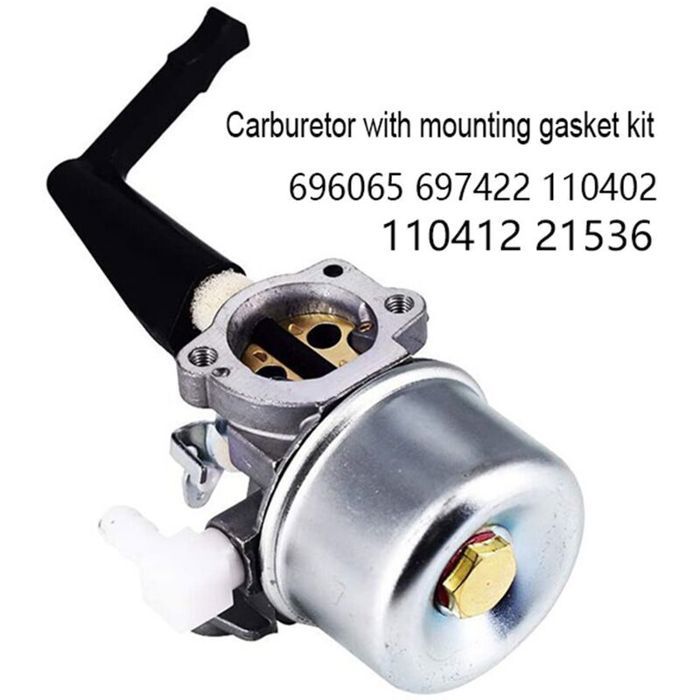 Kit Carburateur Carkio 696065 Avec Filtres Et Bougie | Compatible Motoculteur 110412, 110402 | Joints Inclus
