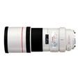 Canon EF 300mm f4L IS USM-2