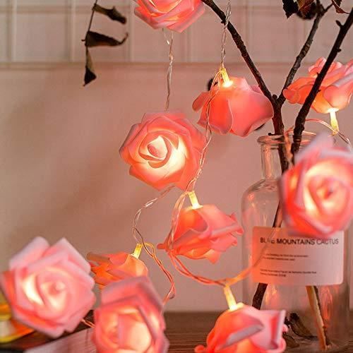 Guirlande lumineuse de fleurs 10 pieds 20 LED guirlandes