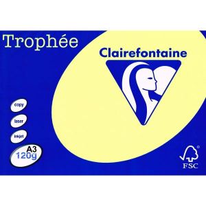 Clairefontaine 97344C - Bloc de 10 Feuilles de Papier Couleur