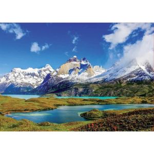 PUZZLE Puzzle Adulte Le parc national Torres del Paine 1000 Pieces Collection Paysage Patagonie Montagne Et Lac