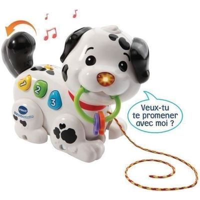 VTech - Titou Filou – Animal Interactif, Jouet pour Apprendre à Marcher, Jouet  Bebe 12/36 mois - Version FR - Cdiscount Jeux - Jouets