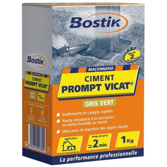 Ciment prompt Vicat 1kg