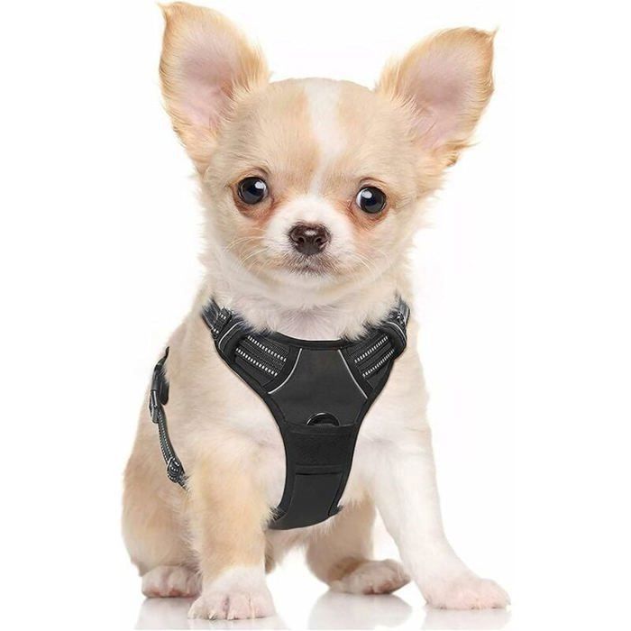 Meilleurs prix pour Harnais Chien S Arnais Noir Anti Traction Réfléchissant Gilet Réglable pour Petit Chien Attache Devant Crochet de Laisse