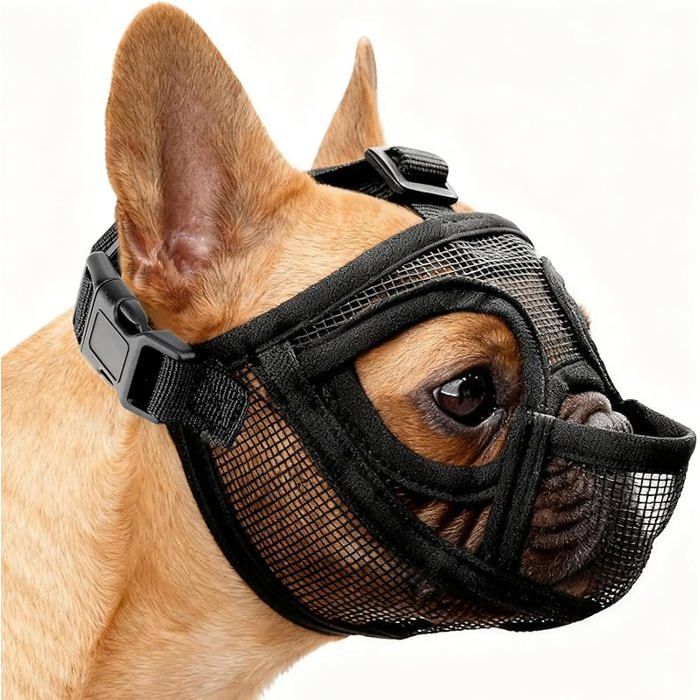 Museliere Bouledogue Francais Réglable Muselière Chien Respirant Masque Plate Museliere Petit Chiens Court Anti Morsure M