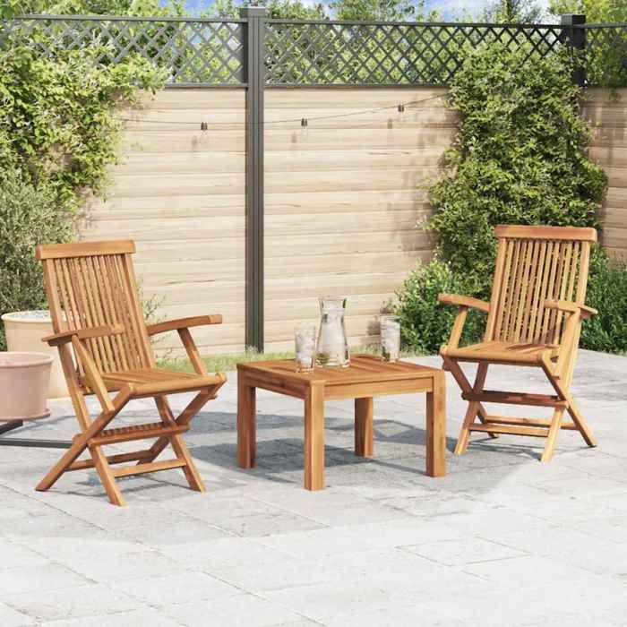 Maison Exclusive - Chaises pliantes (lot de 2) avec accoudoirs en bois de teck