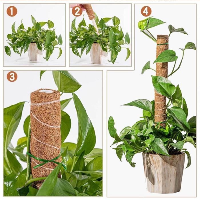 Tuteurs En Fibre De Coco Pour Plantes Grimpantes - Lot De 2 Piquets De 43cm + Attaches - Support Naturel Et Durable