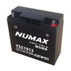 Batterie moto Numax Premium AGM YS51913 12V 21Ah 230A