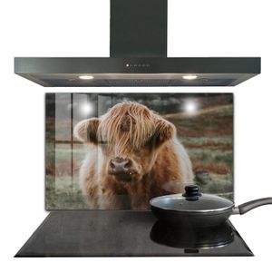 CREDENCE Fond de hotte - Decortapis - 100 x 70 cm - Verre trempé - Vache de style cottage des Highlands