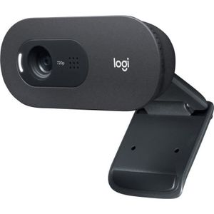 WEBCAM Logitech LOGI C505e HD Webcam BLK WW C505e HD Webc