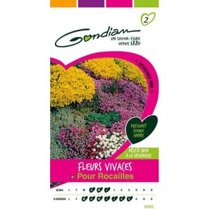 GRAINE - SEMENCE Semences Fleurs Vivaces Pour Rocailles Multicolore 1 X 8,1 X 16 Cm[m145]