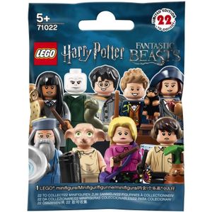 ASSEMBLAGE CONSTRUCTION Minifigurines LEGO 71022 - Harry Potter et les Ani