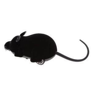 Souris Telecommandee Pour Chat Cdiscount