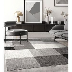 TAPIS Tapis de salon ou de chambre en moderne design | M