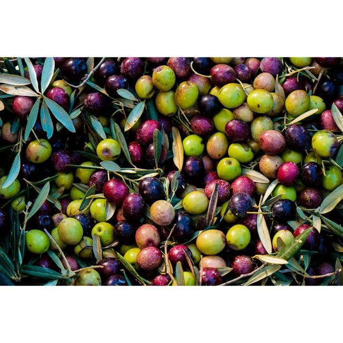 Huile D Olive - Española (Evoo) Vierge Extra Haute Qualité Espagnole Origine Espagne 5L Goût Equilibré Bio Pression