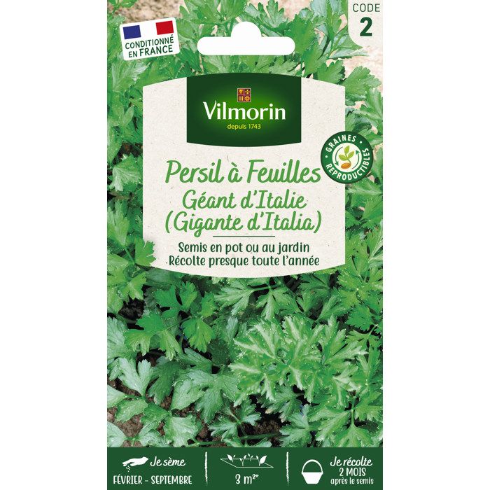 VILMORIN Sachet graines de Persil commun Géant d'Italie