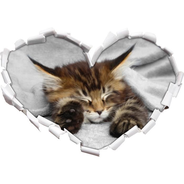 Chat Avec De Grandes Oreilles Noir Forme Blanc Coeur Dormir Dans Le Regard 3d Mur Ou Un Autocollant De Porte Format 62x43 5cm S Cdiscount Maison Chat Avec De Grandes Oreilles Noir Forme Blanc Coeur Dormir Dans Le Regard 3d Mur Ou Un Autocollant De Porte Format 62x43 5cm S Cdiscount Maison