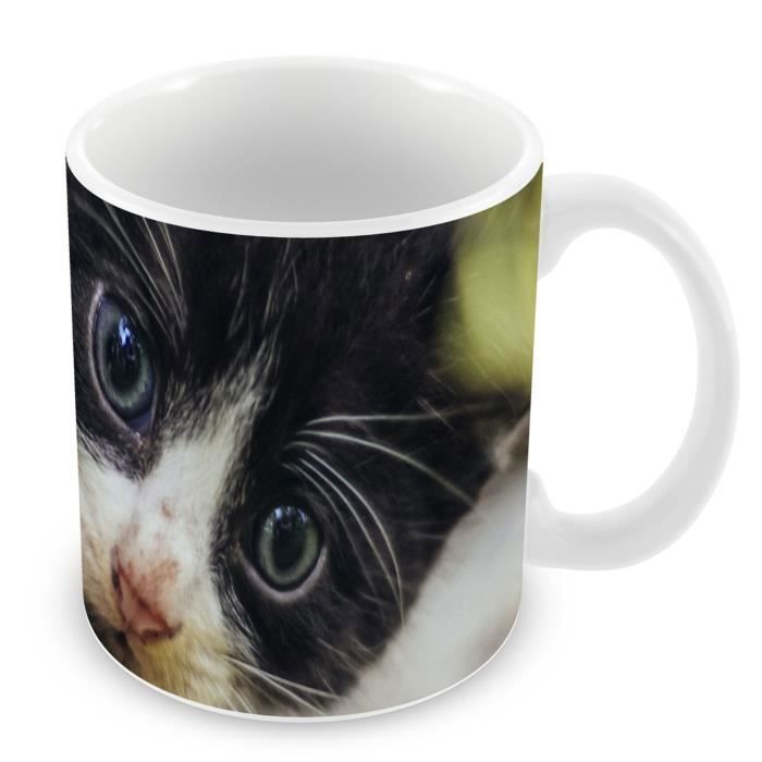 Mug Ceramique Tasse Chaton Noir Et Blanc Yeux Bleus En Observation Sur Un Muret Mignon Animaux Cdiscount Maison