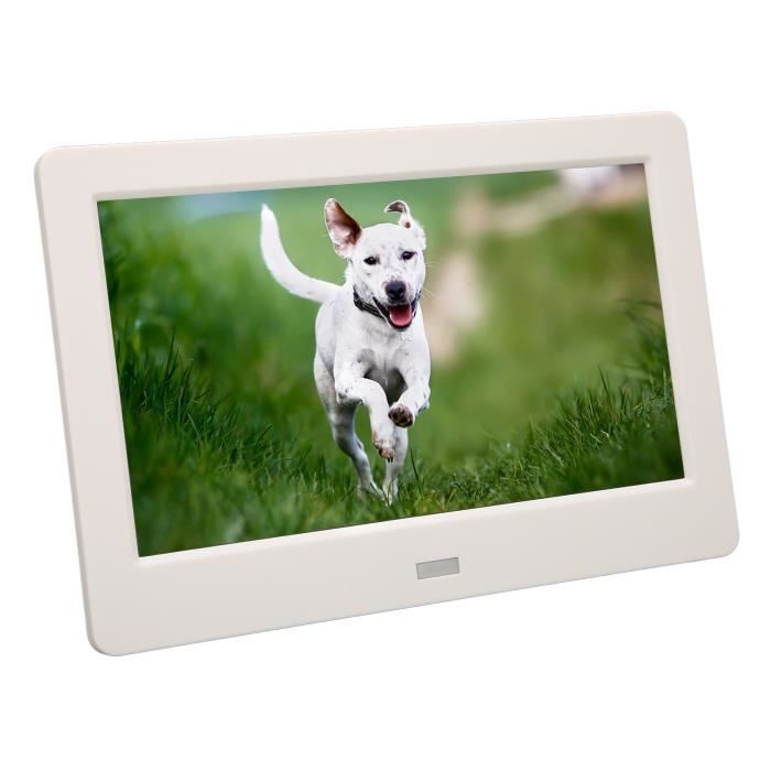 7 Inch HD Digital Frame Clock Calendar Mp3 Music Photo Play Dual
