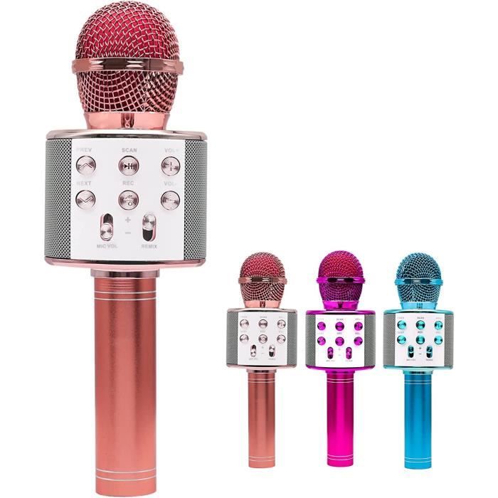 Wepai Micro Karaoke Micro sans Fil, 4-12 Ans Micro Enfant avec Un Son  Externe, Une Batterie intégrée de 1800MAH, Convenant à la 113 - Cdiscount  Jeux - Jouets