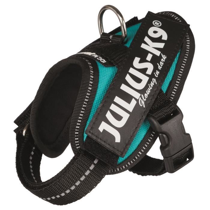 JULIUS-K9 Harnais Power IDC - Baby 1 - XS : 29-36 cm-18 mm - Pétrole - Pour chien
