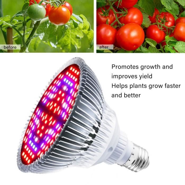 Lampe Croissance Plantes 60W LED - Spectre Complet - Ampoule E85-265V