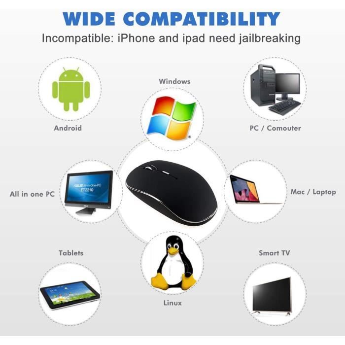 Souris sans Fil Bluetooth, Rechargeable Portable Wireless Mouse (BT 5.1 +  2.4G sans Fil) Souris avec 3 Valeurs DPI pour Tablet-Lapto - Cdiscount  Informatique