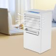 Refroidisseur d'air - 2 en 1 Climatiseur Mobile Ventilateur Tischventilator Portable