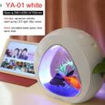 Aquarium,Mini Nano écologie aquarium intégré filtre et système de lumière LED intégration par alimentation USB avec - Type white-4L-0