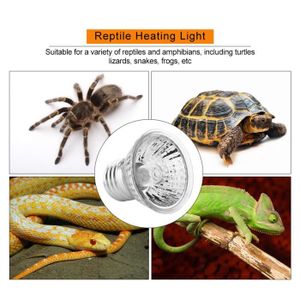 ÉCLAIRAGE Lampe Tortue Terrestre Chauffante Reptiles pour Aq