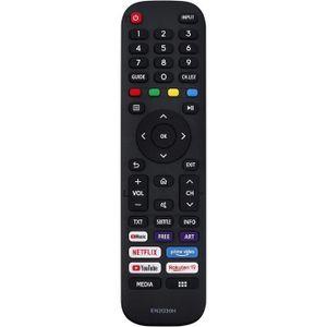 TÉLÉCOMMANDE TV REMOtech Télécommande de rechange EN2G30H compatib