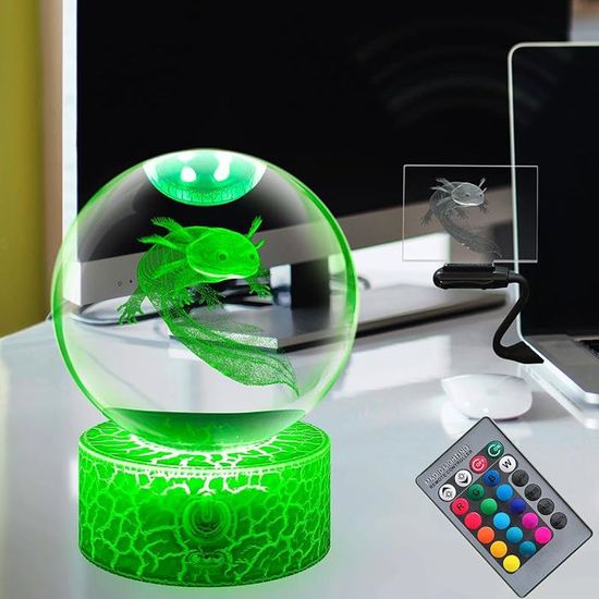 Veilleuse Boule De Cristal Avec Fleur Naturelle - Marguerite - Base En Bois Et USB - Lampe Décorative - Cadeau